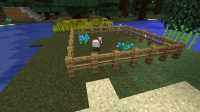 domaine_david_p_proulx (8)
